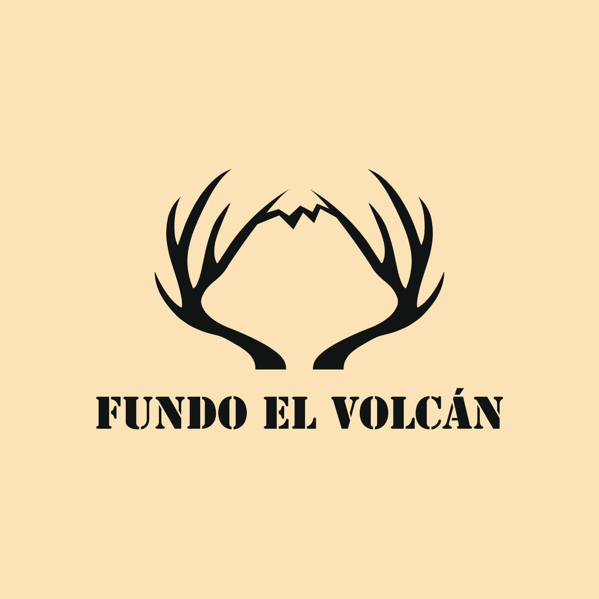 Logotipo 20 — Pelao Castro